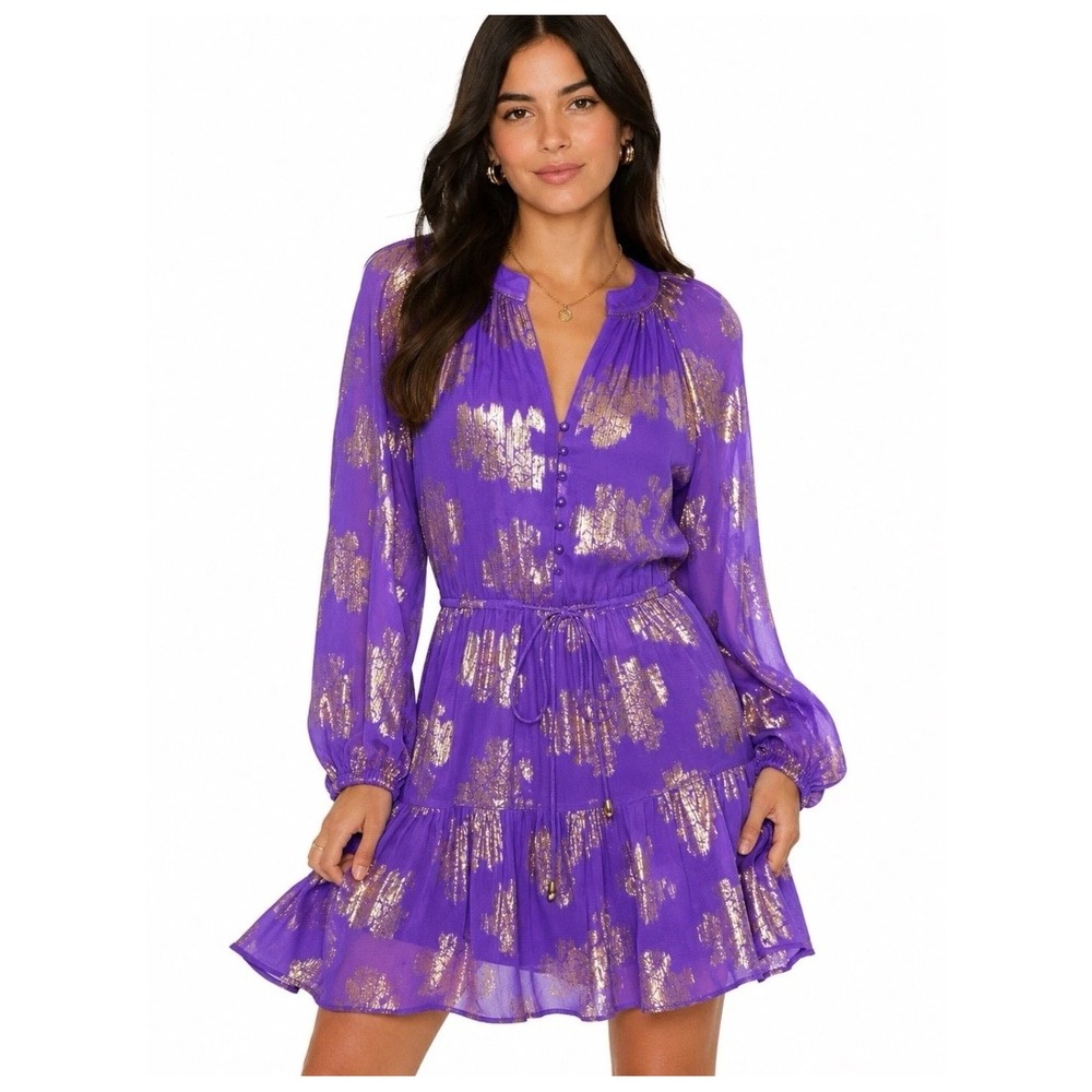Karina Grimaldi Silk Metallic Mini Dress Purplr Gold Chiffon Long Sleeve S